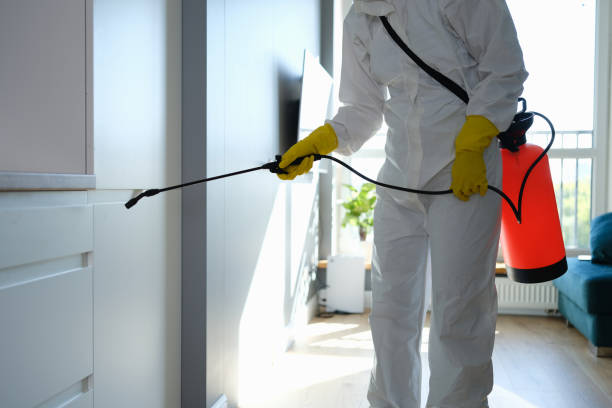 Kilgore, TX Mold Removal Company